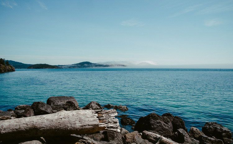 服裝連鎖會員管理系統(tǒng)是什么?提升業(yè)績就看它!